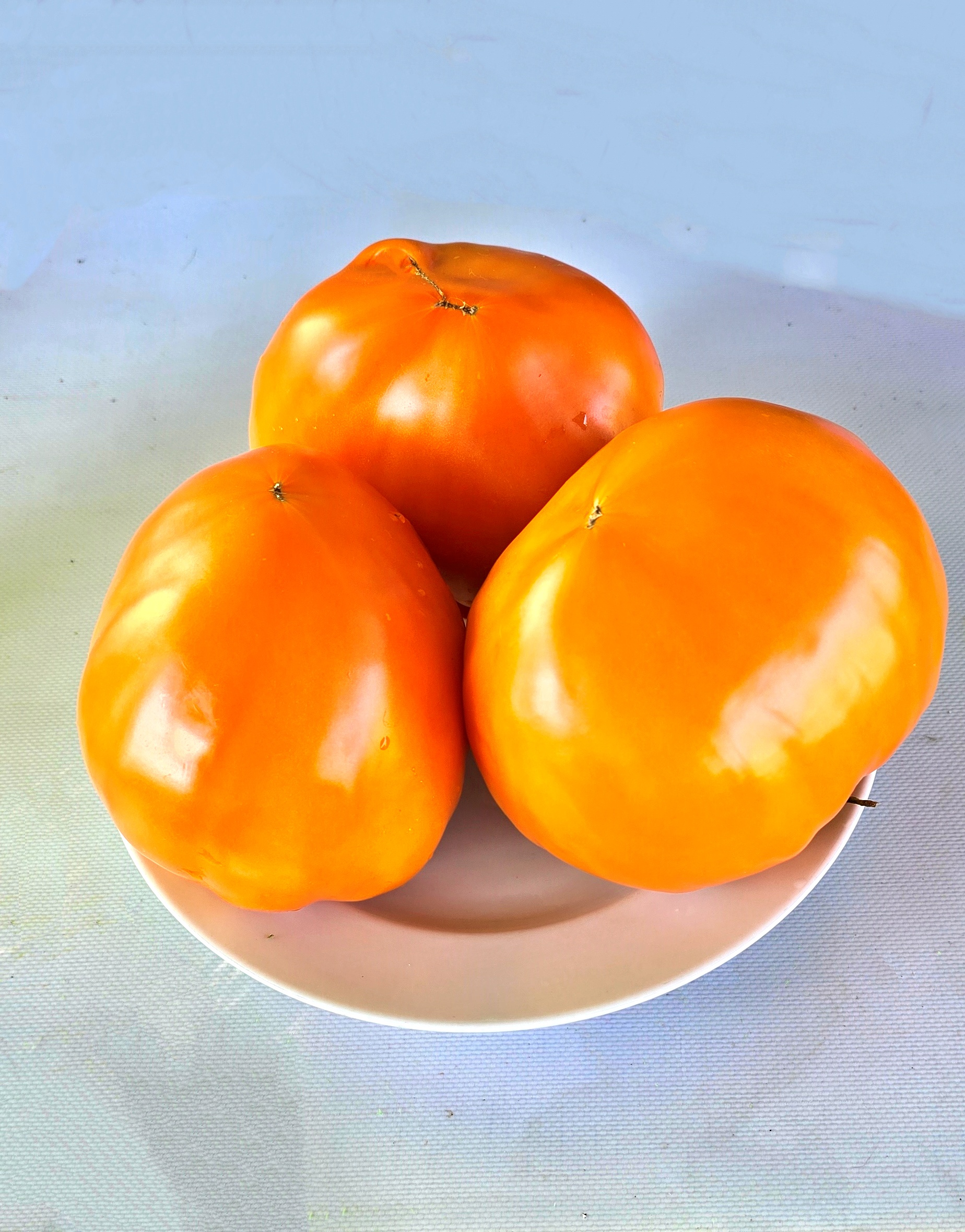 Семена Томат ЧУДО ЗЕМЛИ ОРАНЖЕВОЕ (Wonder Of The Earth Orange) — фото 2