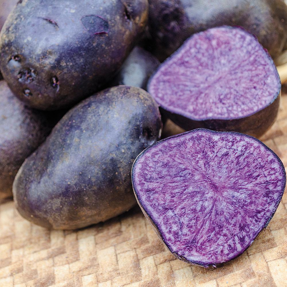 Семена Картофель ФИОЛЕТОВЫЙ (Purple Explosion)