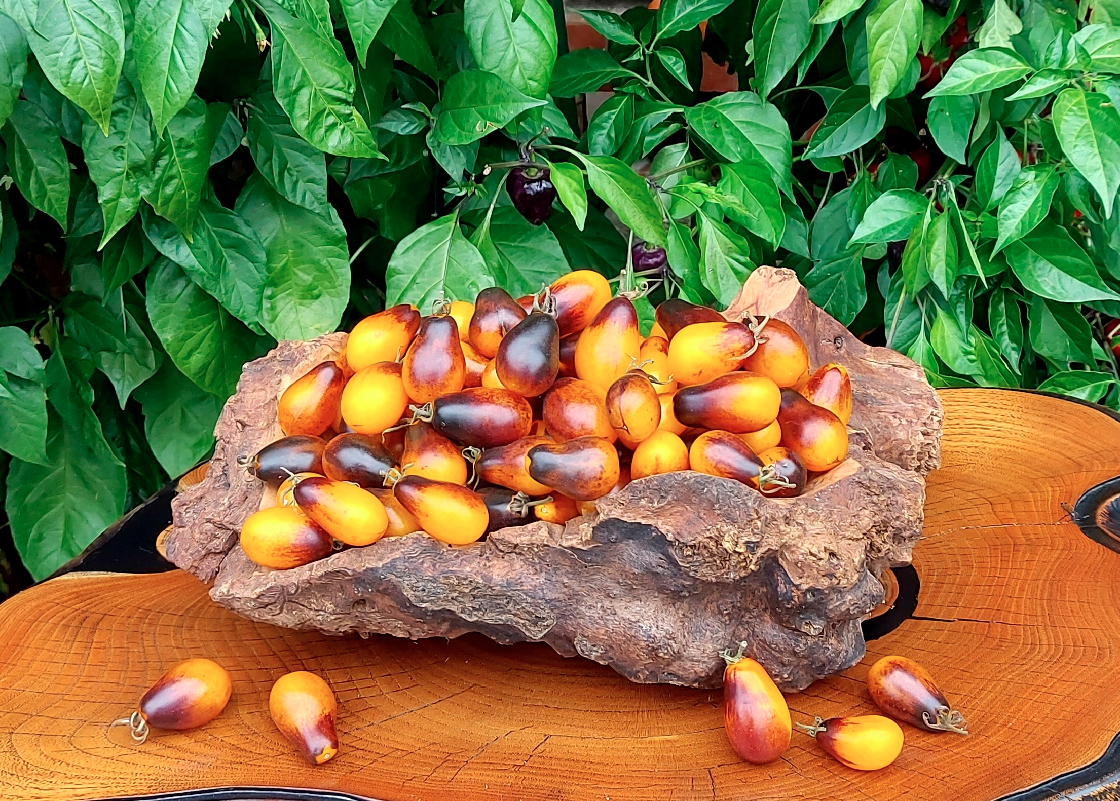 Семена Томат ИНДИГО ГРУШЕВИДНЫЕ КАПЛИ (Indigo Pear Drops)