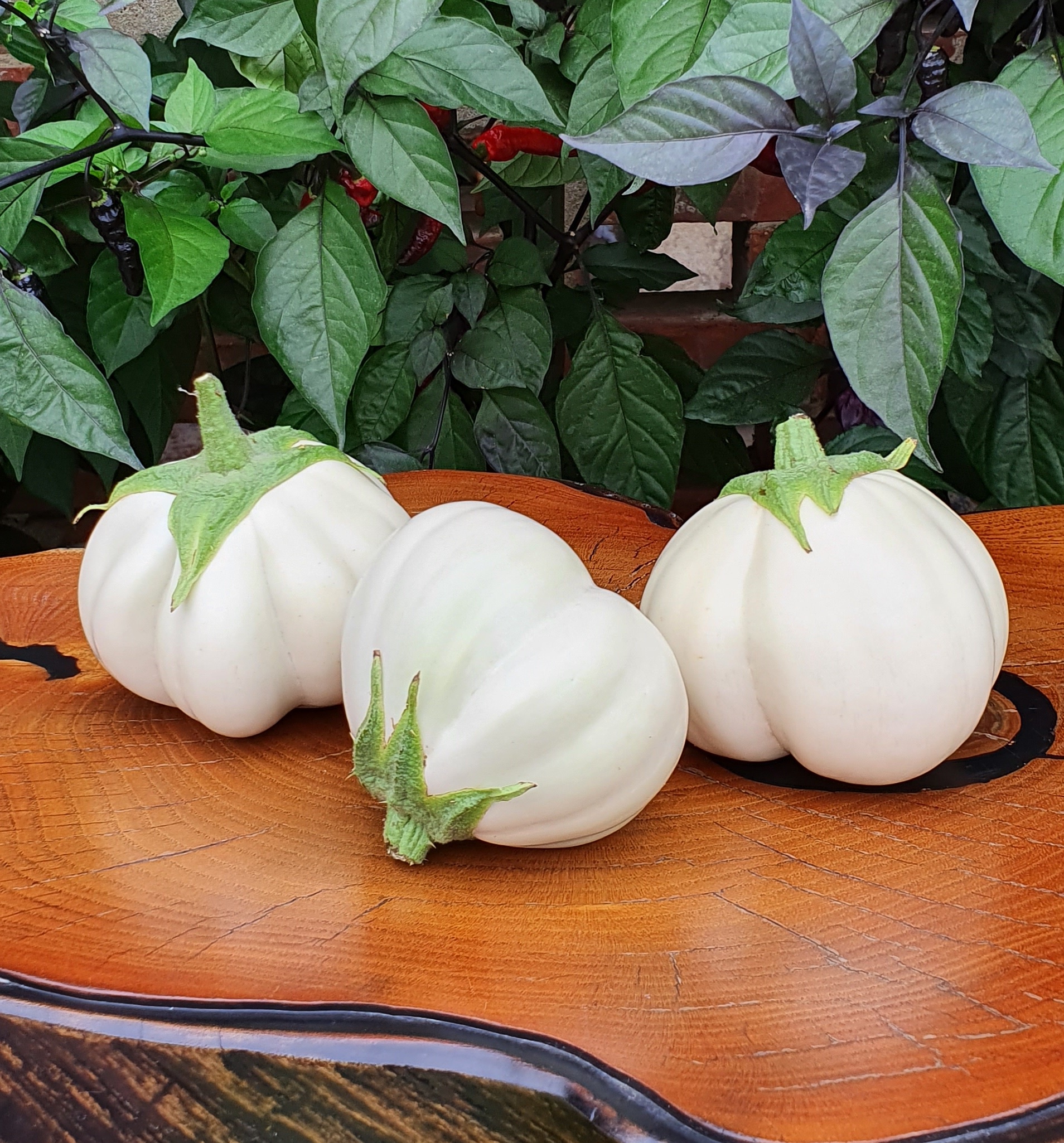 Семена Баклажан ТАЙСКИЙ БЕЛЫЙ В РУБЧИК (Thai White Ribbed)