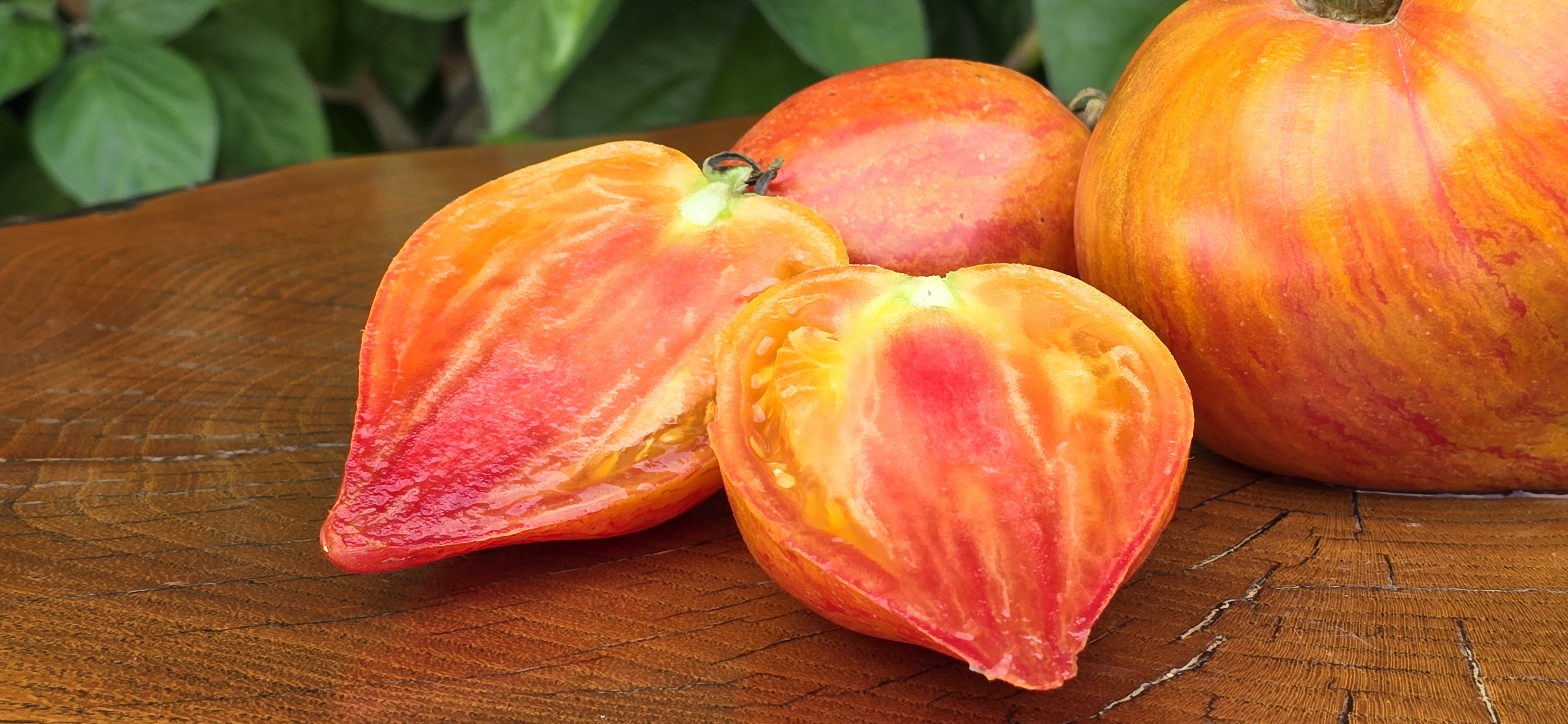 Семена Томат ИСКУШЕНИЕ (Temptation) — фото 3