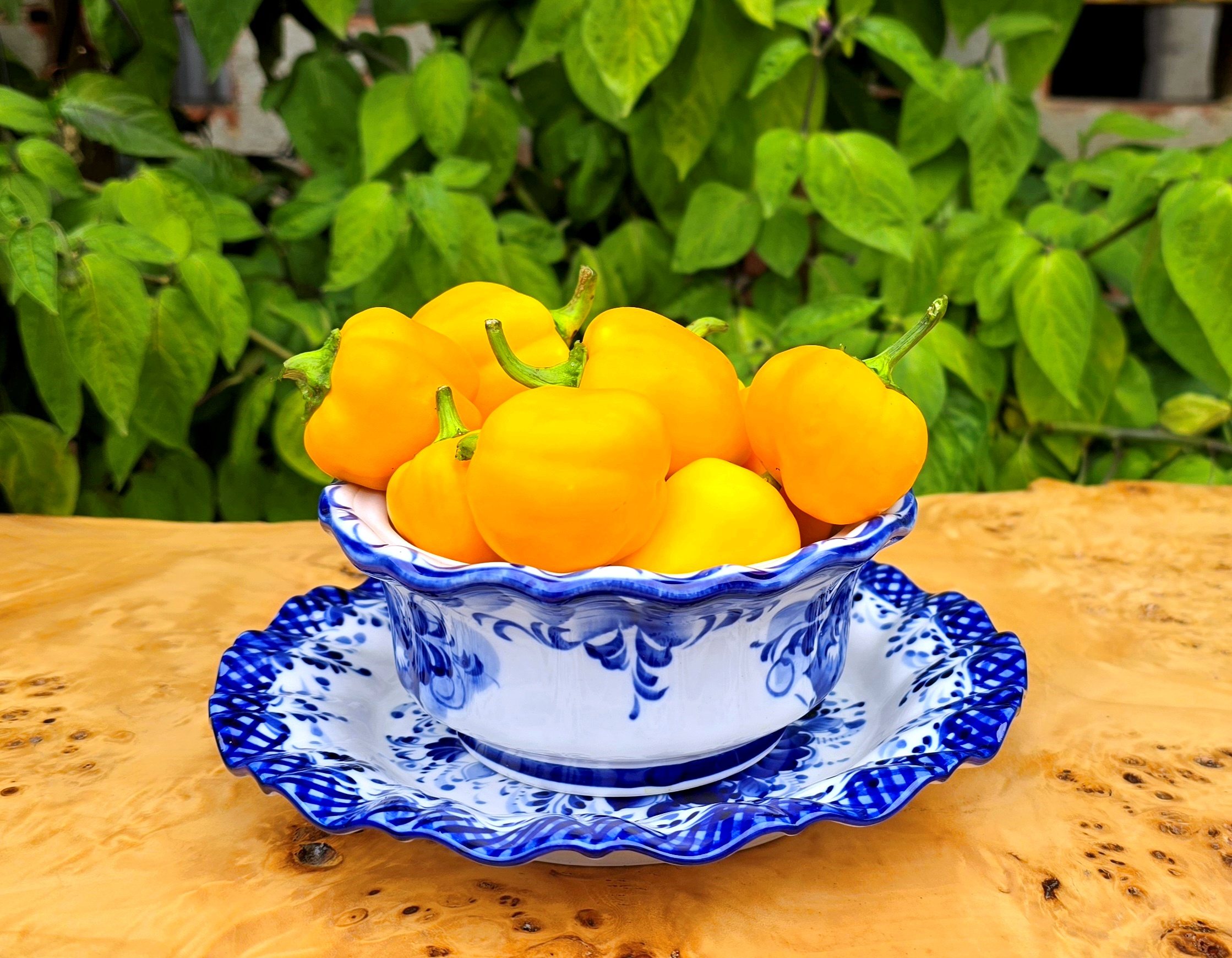 Семена Перец сладкий МАЛЕНЬКИЙ ЖЕЛТЫЙ КОЛОКОЛЬЧИК (Mini Bell Yellow)